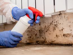 Why You Should Choose Our Mold Remediation Services in Laflin, PA